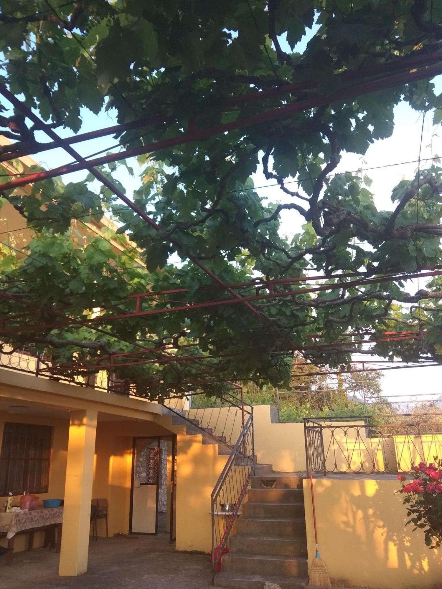 Apartman "Marko" บาร์ ภายนอก รูปภาพ